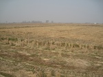 8443IMG_0268.JPG