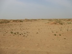 36755CIMG0524.JPG