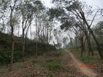 52892CIMG4982_调整大小.JPG