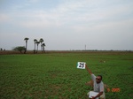 12927025a-irrigated-supplimental-farm-fallow-rabi(late)-rice-rainfed-and-tank-irrigation.gif