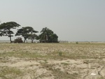 26088DSC01114.JPG