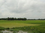 22007DSC00120.JPG