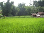 13886IMG_4166.JPG
