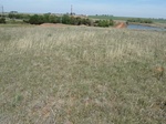 29261HINT20110418N.JPG
