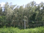 33458RIMG0198.JPG