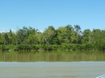 54685Bulungan (180).JPG