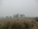 40190CIMG9087.JPG