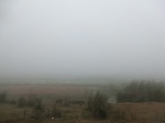 40282CIMG9025.JPG
