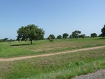 19476P1010323.JPG
