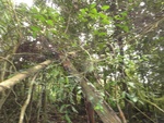 50260DSC02062.JPG