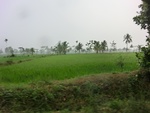 31717CIMG1585.JPG