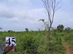1049945-cropland-chena-permanant-25yr-a.gif