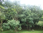 33695RIMG0313.JPG