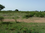 18919P1000763.JPG