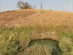 26629DSC00333.JPG
