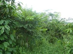 25170P1020010.JPG