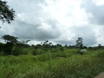 18203P1000039.JPG