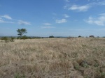39276P1080090.JPG