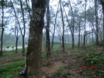 53208CIMG4943_调整大小.JPG