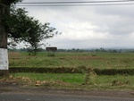 30969CIMG0830.JPG