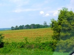 57609CIMG4198.JPG