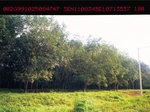 40524Psn00255.JPG