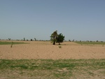 19152P1000997.JPG