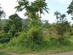 18341P1000177.JPG