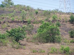 504420042008(86).JPG