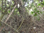 46792DSC02130.JPG