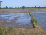 33567RIMG0232.JPG