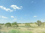 35189DSC02394.JPG