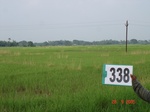 132180338c-rainfed-agriculture-rice.gif