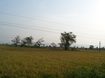17383100_2069.JPG