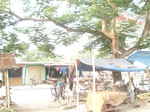21902DSC08499.JPG