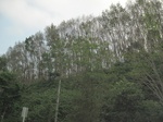 27866IMG_4861.JPG