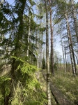 2025-05-21_10-09-14_IMG_7815.jpeg