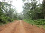 47613CIMG3950.JPG