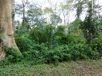 46470CIMG0759.JPG