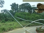 49271CIMG5608.JPG