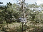 12170GT167_Savannah.JPG