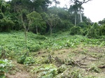 25245P1020088.JPG
