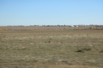 2022-11-02_16-02-42_B4FBC4E8-2229-4128-9409-005977A26245.jpeg