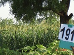 126980191c-rainfed-agriculture-mixedcrop-millet-dominant-soyabean.gif
