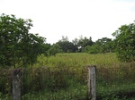 14403IMG_4747.JPG