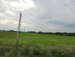 55945CIMG6675.JPG