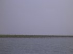 1363R0015131_small.jpg