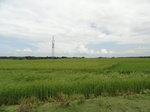 22122DSC00364.JPG