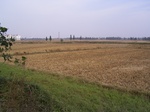 3167R0017201.JPG