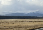 2022-11-02_15-53-29_C798A622-774F-4BFE-9F61-C01F4EFF71E2_1_201_a.jpeg